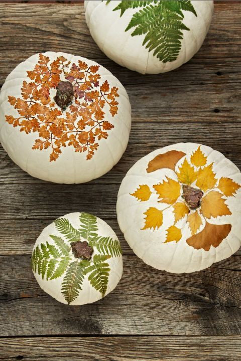 10 Easy Fall Decorating Tips and Ideas